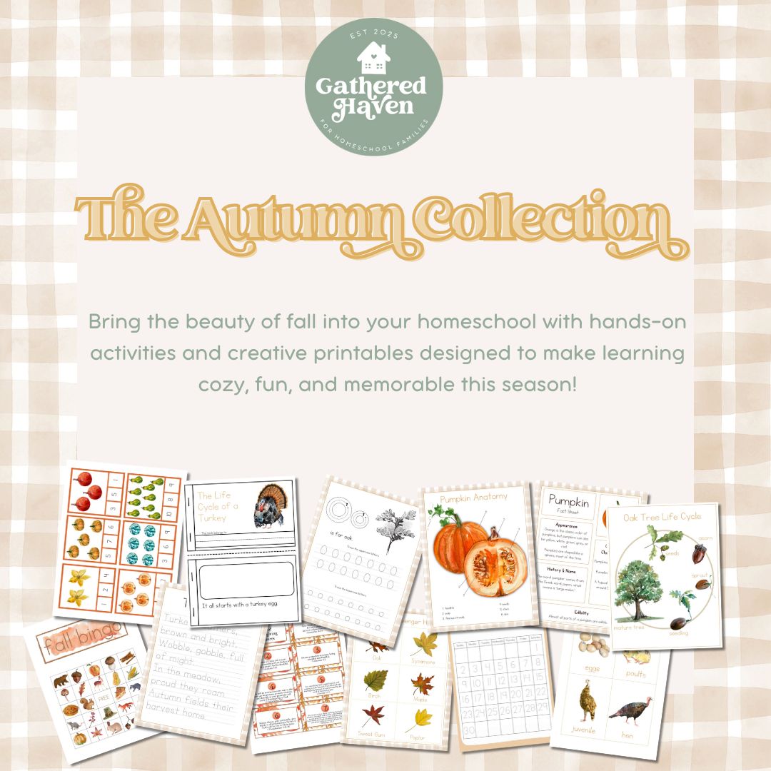 The Autumn Collection 2025