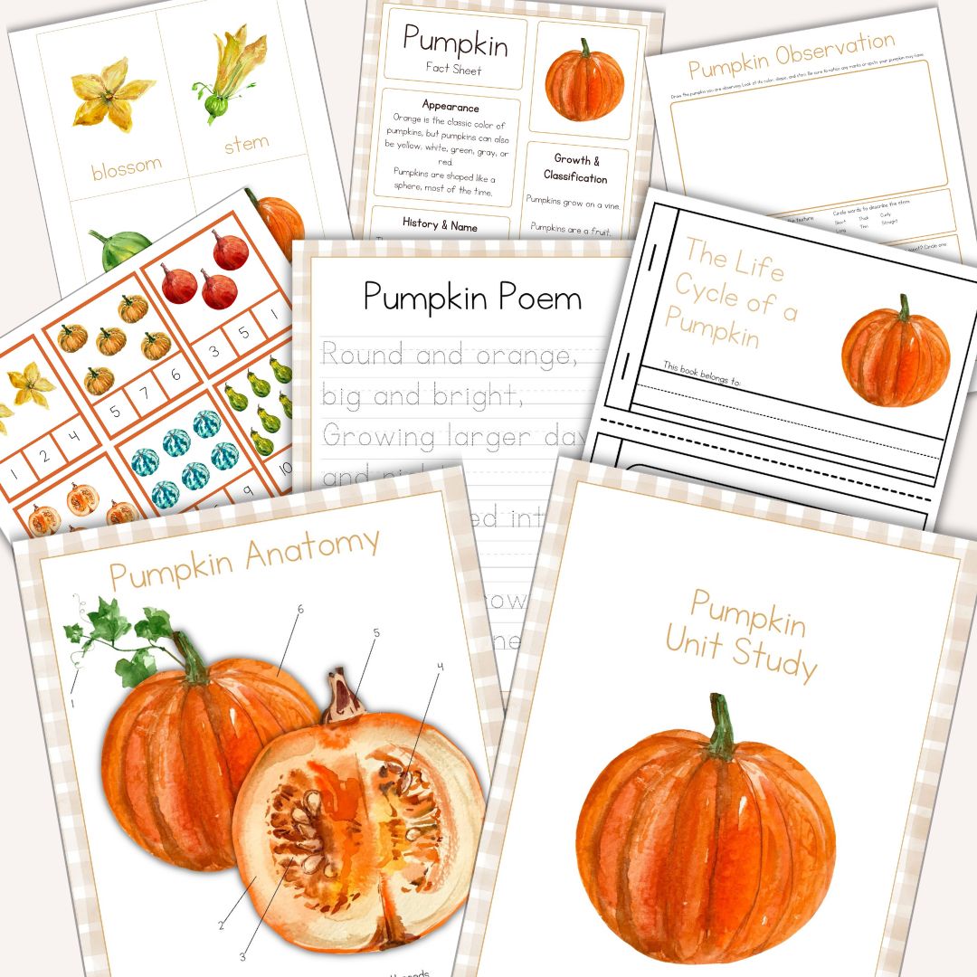 Pumpkin Mini Unit Study
